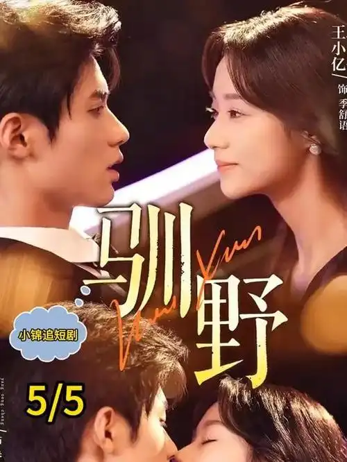 书信回忆情感视频回声信箱全集